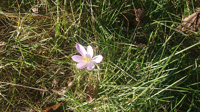 DSC_4577_1772031025054