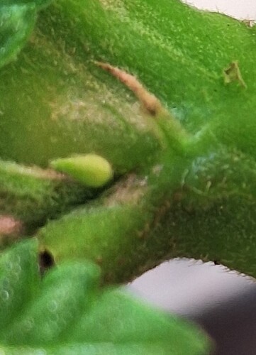 Growreport Bild 6