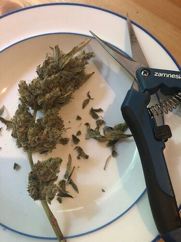 Growreport Bild 3