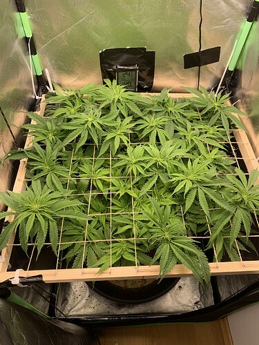 Growreport Bild 15