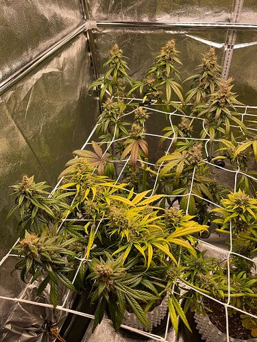 Growreport Bild 18