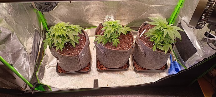 Growreport Bild 14