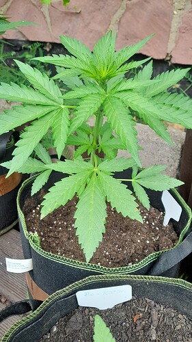 Growreport Bild 16