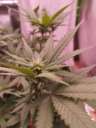 Growreport Bild 10