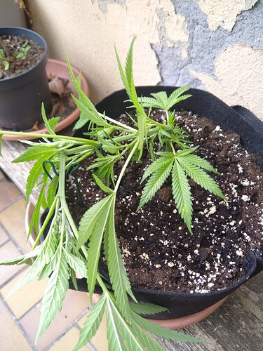 Growreport Bild 10