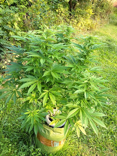 Grow24_0921_04