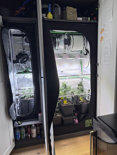 Growreport Bild 34