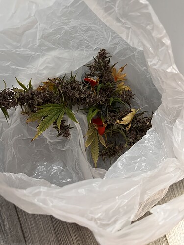 Growreport Bild 9