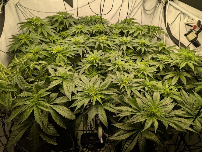 photo_2025-11-15_12-51-35