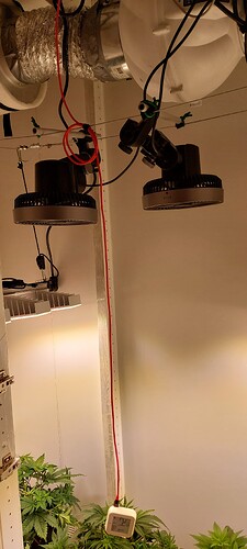 20251206_215916