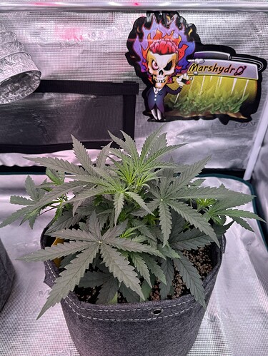 Growreport Bild 22