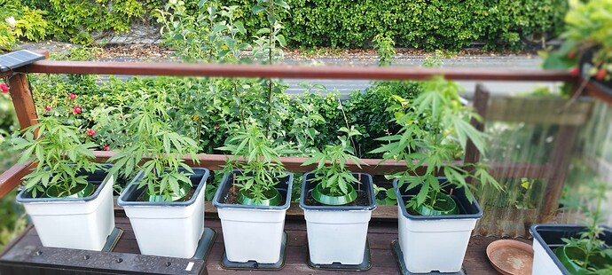 Growreport Bild 23