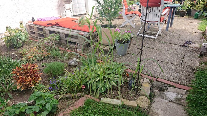 Growreport Bild 21