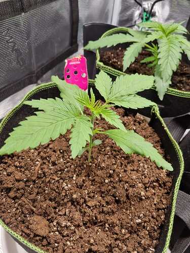 WhatsApp Image 2024-05-07 at 22.57.54