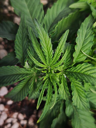 MVIMG_20251009_175556