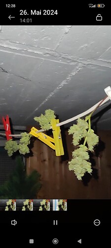 Screenshot_2024-05-27-12-28-23-596_com.miui.videoplayer