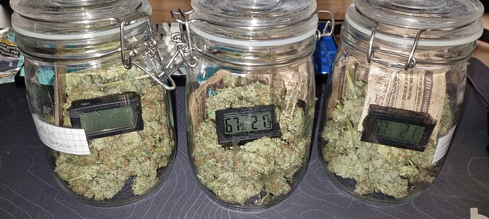 Growreport Bild 41
