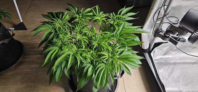 Growreport Bild 18