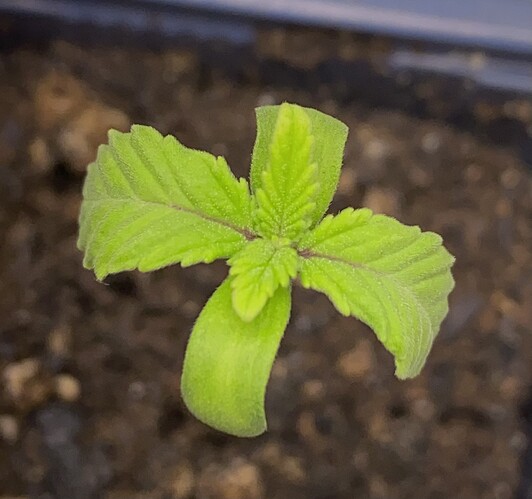 Growreport Bild 25