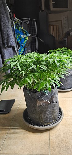 Growreport Bild 14