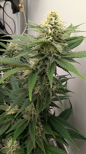 Growreport Bild 26
