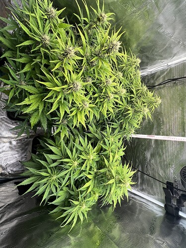 Growreport Bild 20