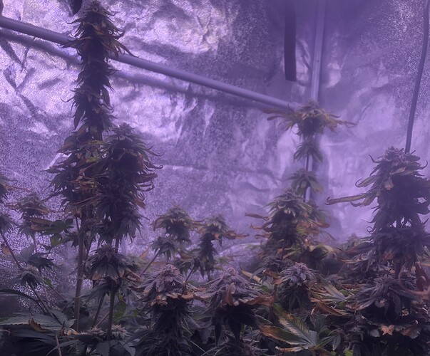 Growreport Bild 2