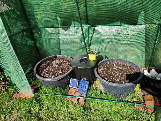 Growreport Bild 1