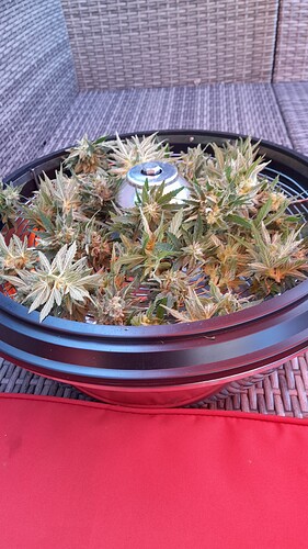 Growreport Bild 19