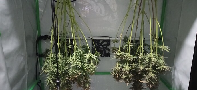 Growreport Bild 1