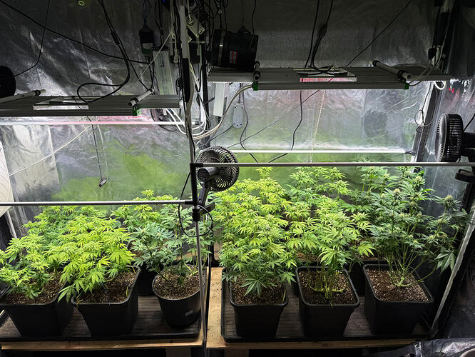 Growreport Bild 20
