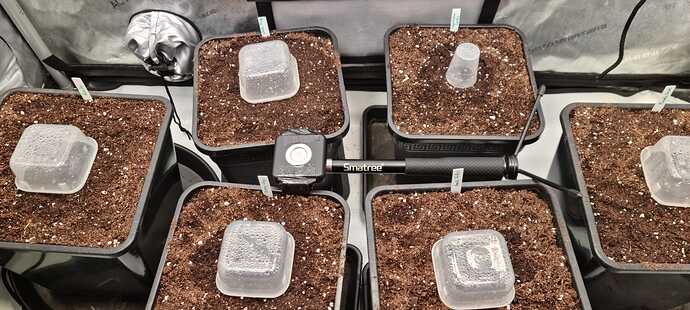 WhatsApp Image 2025-11-16 at 12.29.50(1)