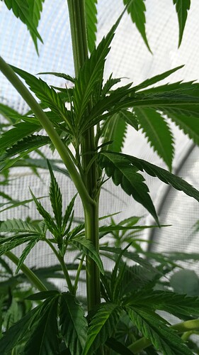 Growreport Bild 12