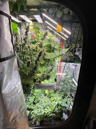 Growreport Bild 12