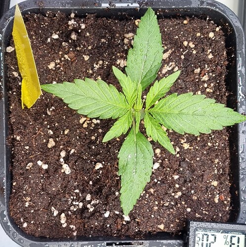 Growreport Bild 21