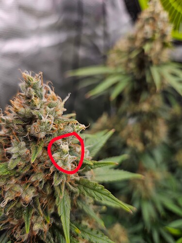 Growreport Bild 22