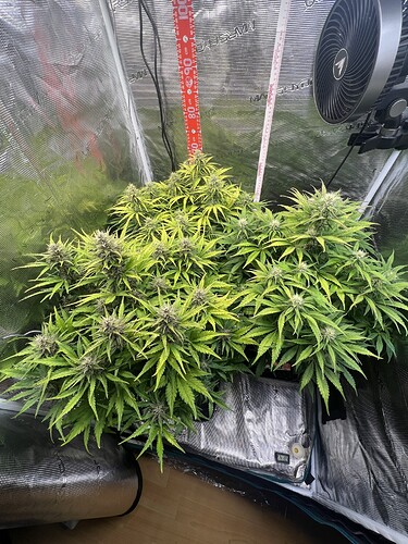 Growreport Bild 26