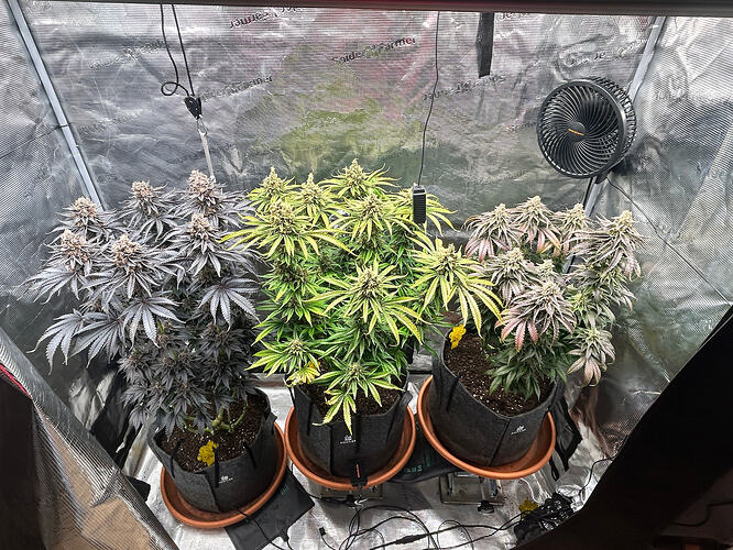 Growreport Bild 1