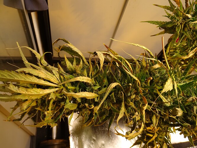 Growreport Bild 12
