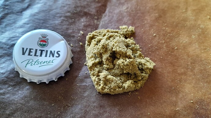 Growreport Bild 2