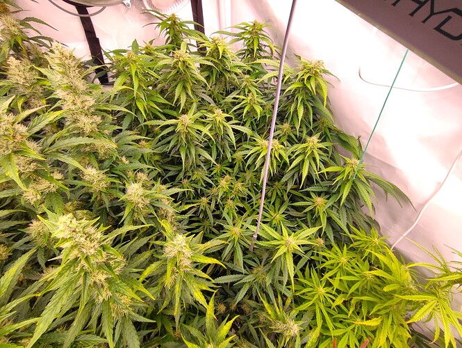 Growreport Bild 21