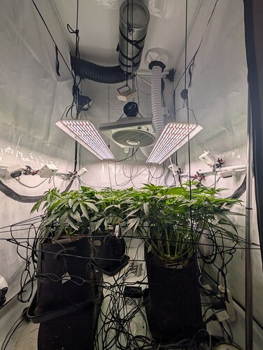 photo_2025-11-15_12-46-49