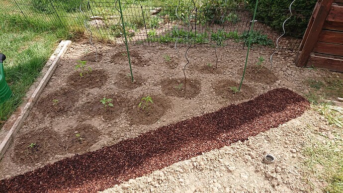 Growreport Bild 13