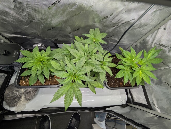 Growreport Bild 7