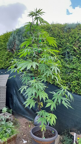 Growreport Bild 4
