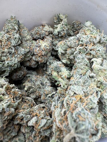 Growreport Bild 24