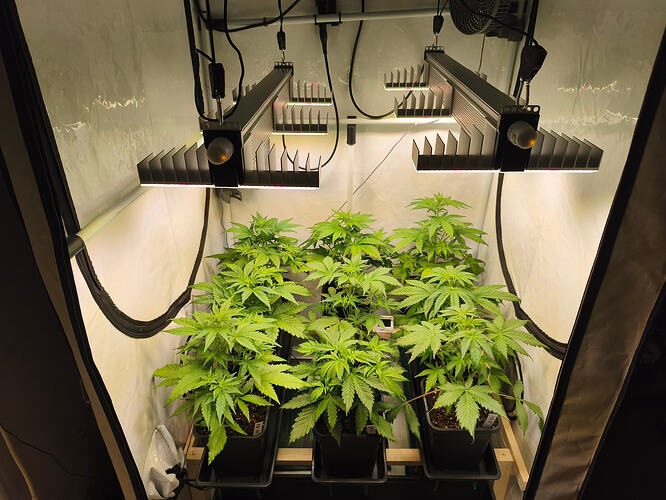 Growreport Bild 4