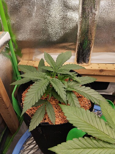 Growreport Bild 2
