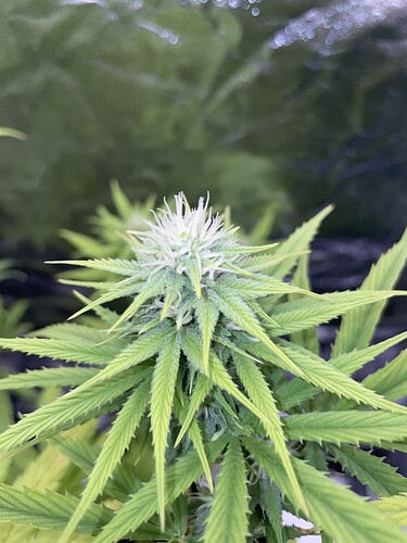 Growreport Bild 14
