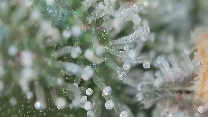 Growreport Bild 22